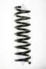 SPIDAN 49732 Coil Spring